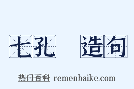 七孔鍼造句是什么意思的图片